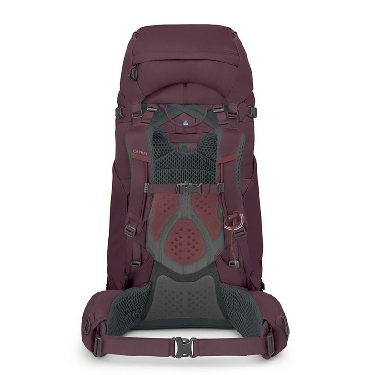 V2H80F38CED744A757CEDF0F20B1F76D4BAR5643402P7