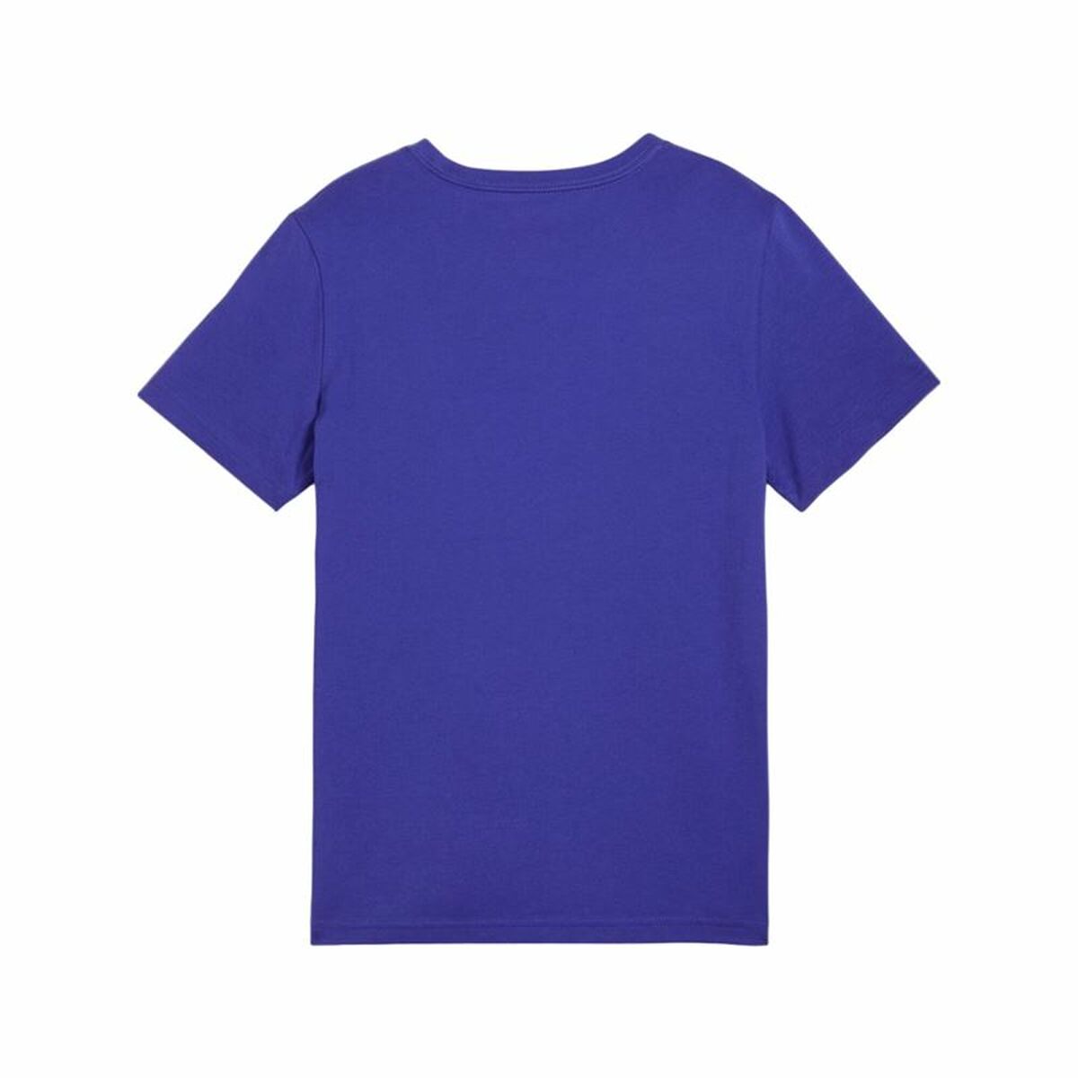 V4H79212D2379FD3039C1EA96A605CBF137R5464332P2