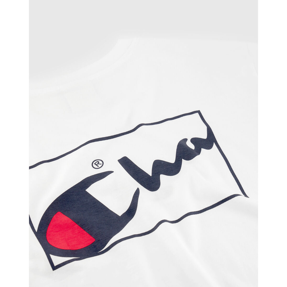 V6H6B8B4B811392D58C3DC4939D0FE54450R6603047P3